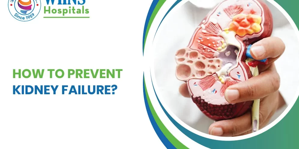 How to Prevent Kidney Failure?