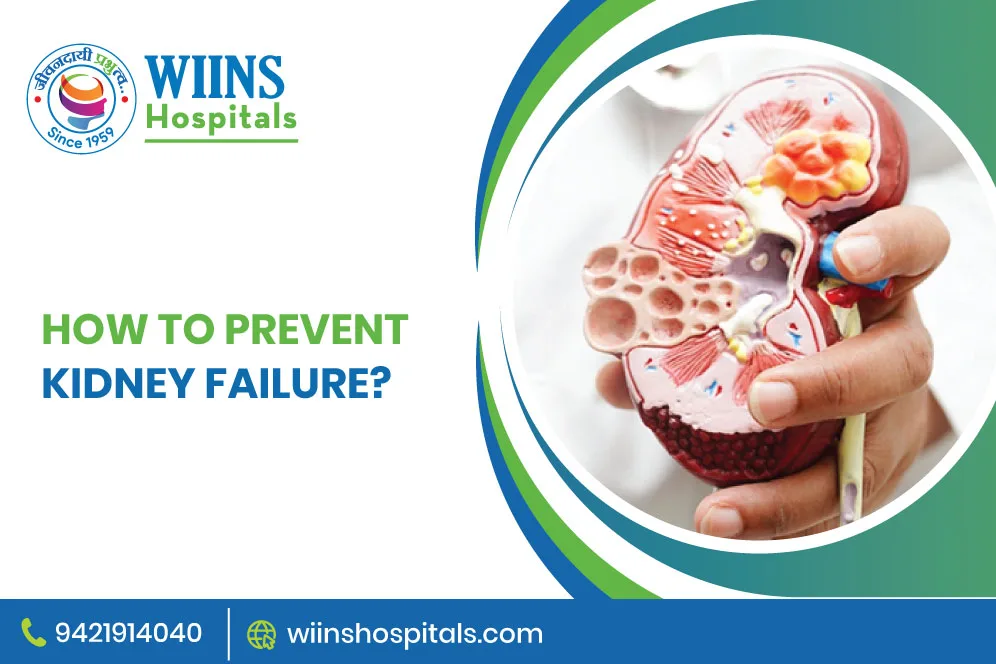 How to Prevent Kidney Failure?