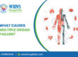 What Causes Multiple Organ Failure