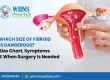 Which Size of Fibroid Is Dangerous Size Chart, Symptoms & When Surgery Is Needed