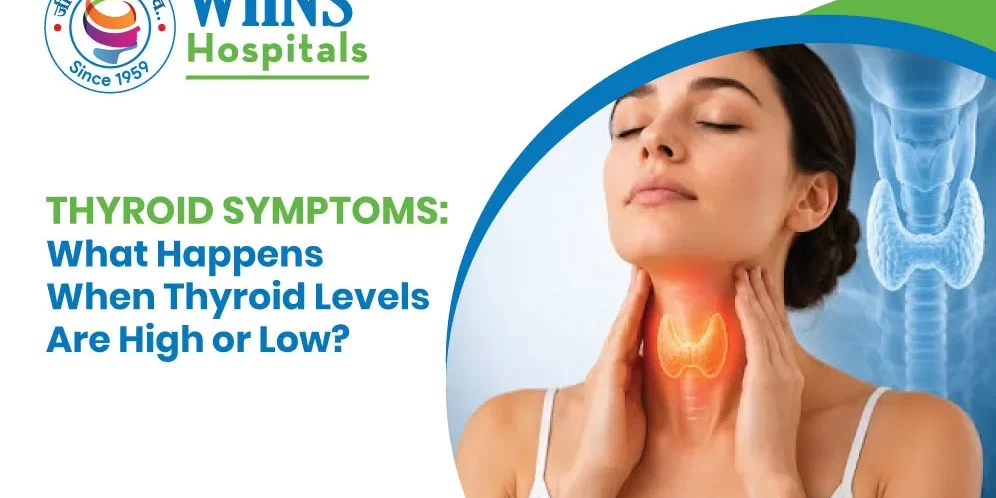 What Happens When Thyroid Levels Are High or Low? What Happens When Thyroid Levels Are High or Low?